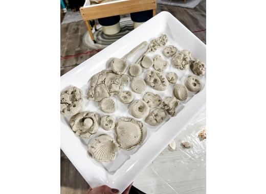 air dry clay fossils 